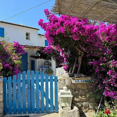 La Forana